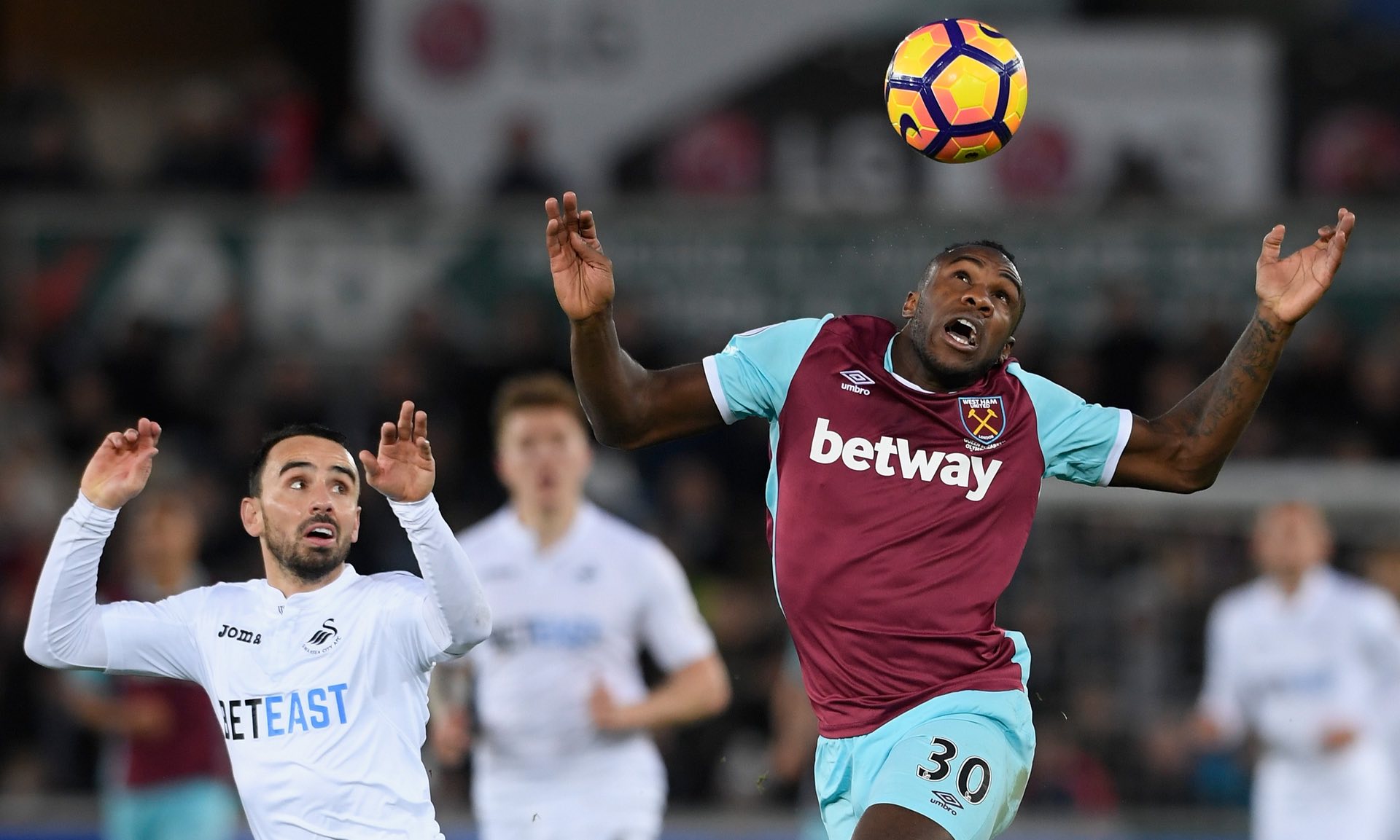 将培养新生 将培养新生